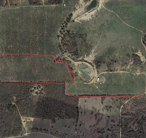 CR 146, 20490336, De Leon, Unimproved Land,  for sale, It's Closing Time Realty